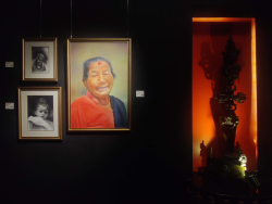 Museum of Nepali Art exhibits works of living artists